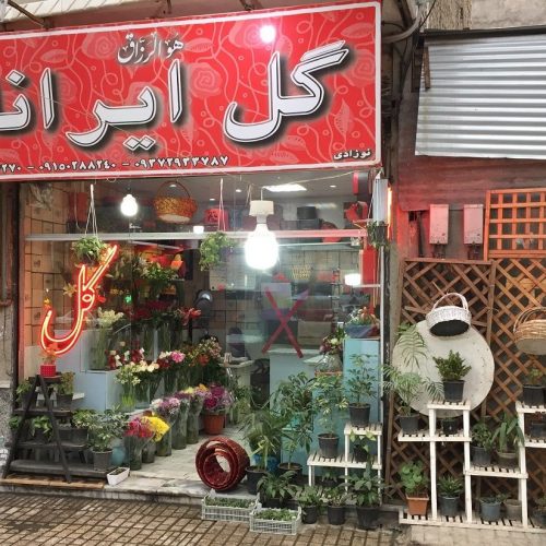 گل فروشی مشهد ( گل ایرانا )