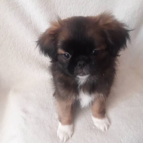 فروش بامزه آپارتمانی