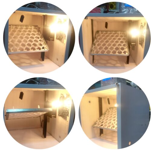 دستگاه جوجه کشی